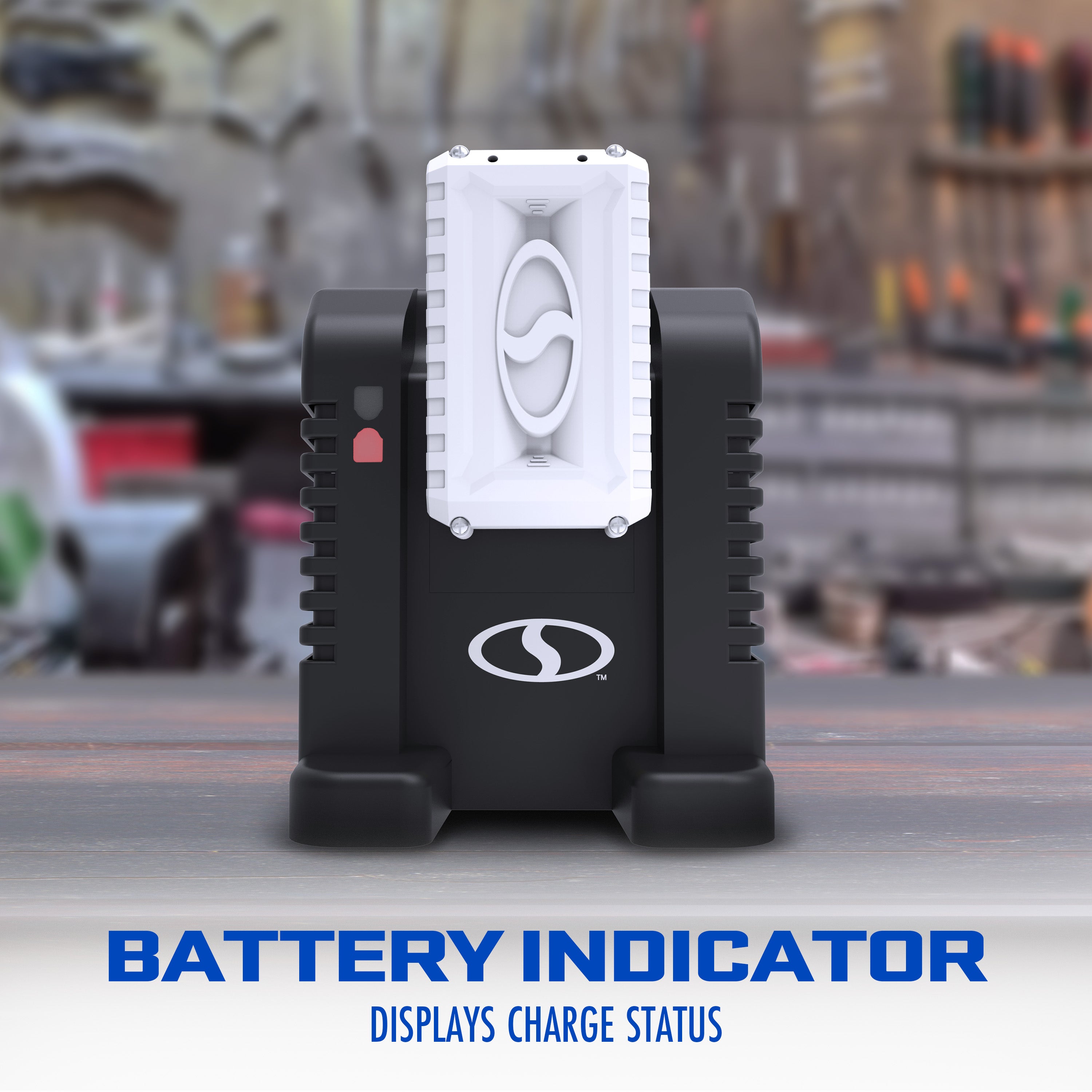 Snow Joe + Sun Joe 24V IONMAX Dual Port High Speed Charger for iBAT24 & 24VBAT Batteries | 26V Output | 260W Input | Fast Charging Dock Station | Perfect for Lawn Mowers, Snow Blowers & Power Tools