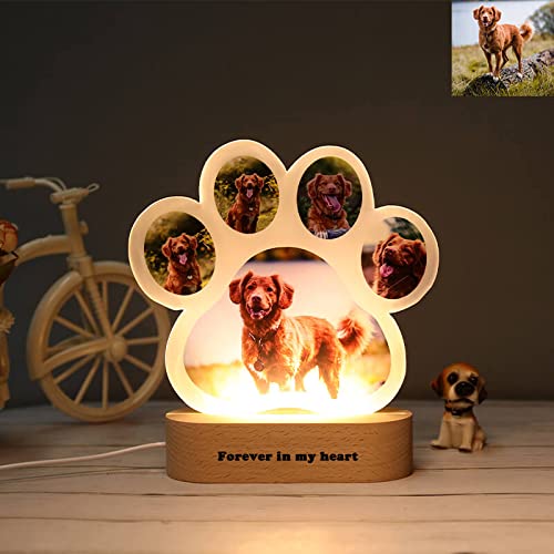 Dog paw