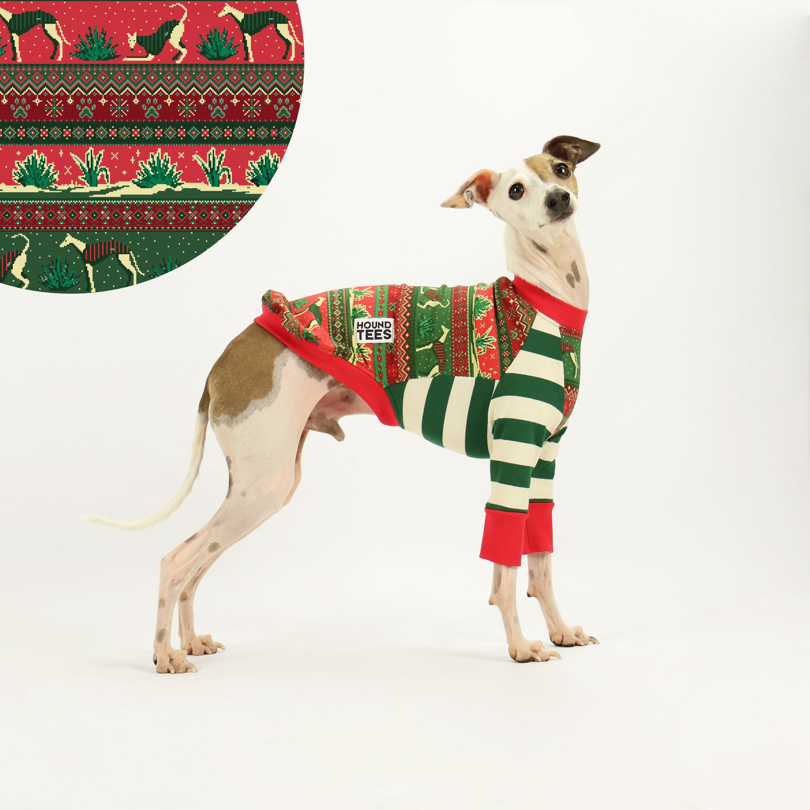 Iggy Christmas Long Sleeve Dog T-Shirt - Festive Holiday Pet Apparel for Dogs - Perfect for Christmas Photos & Family Gatherings