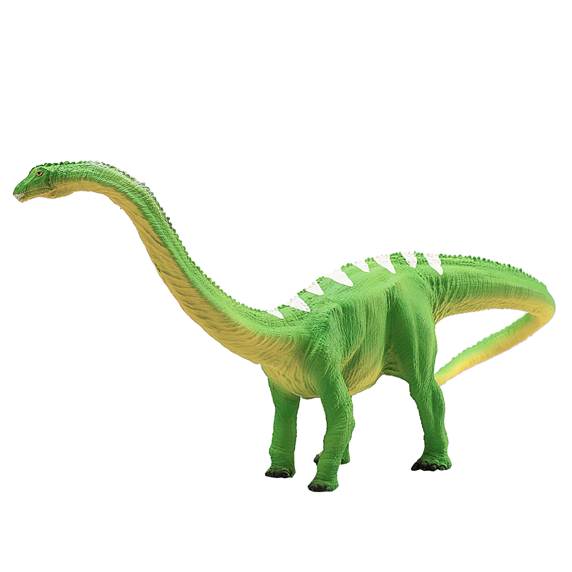 MOJO Diplodocus Dinosaur Toy - 12
