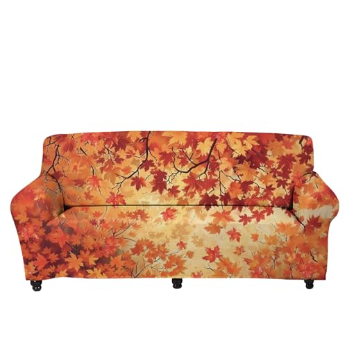 Maple Leaves