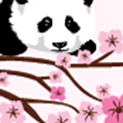Pink Brown With Panda