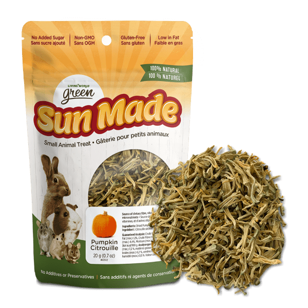 Living World Green Sun Dried Pumpkin Treats for Small Pets - Healthy Natural Snack for Rabbits, Guinea Pigs & Hamsters - Perfect for Training & Bonding Time