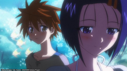 To Love Ru: The Complete Collection - Anime DVD Box Set for Fans, Romantic Comedy Series, Perfect for Binge-Watching & Collecting