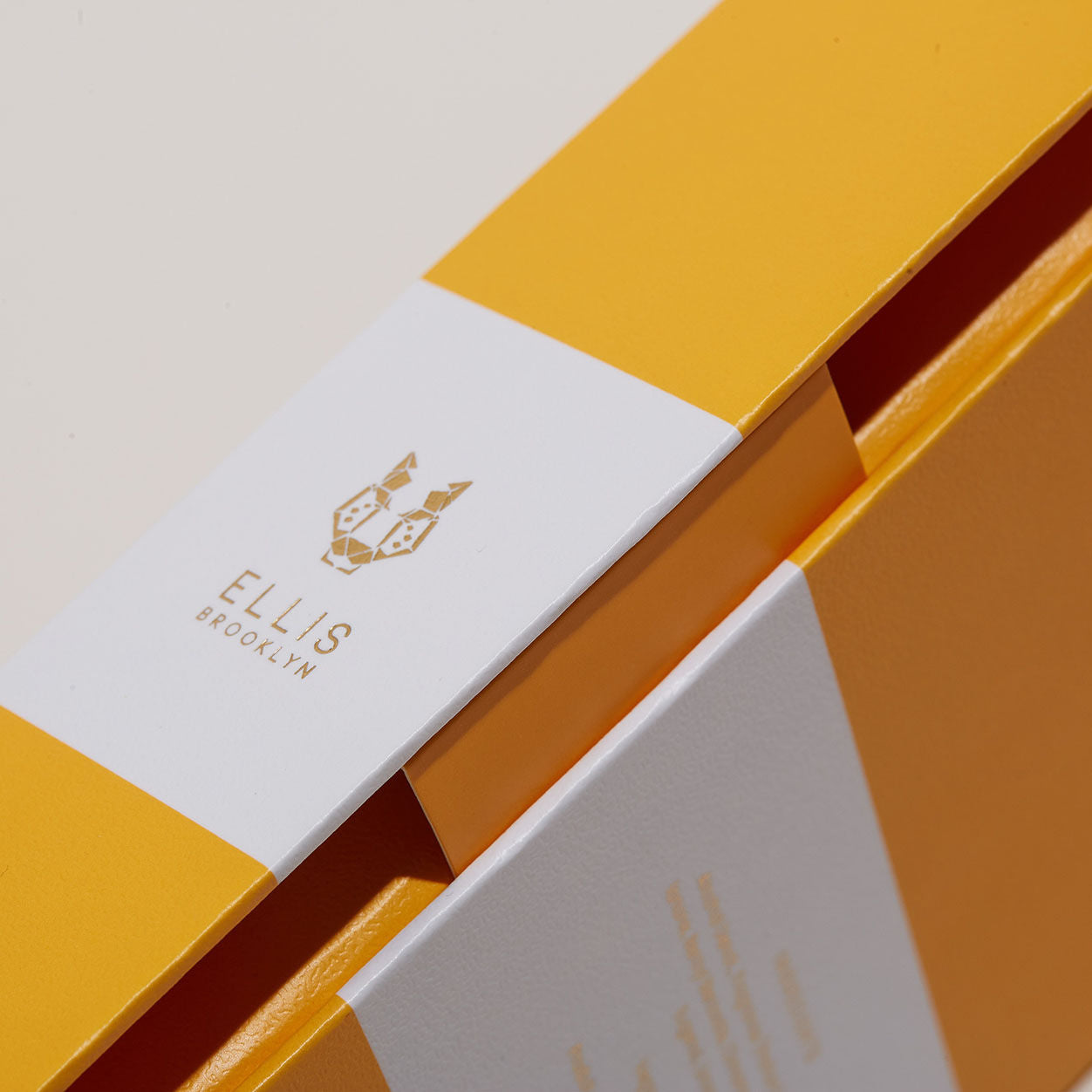 Bee Eau de Parfum for Women - Long Lasting Floral Honey Fragrance - Perfect for Daily Wear, Date Nights & Special Occasions