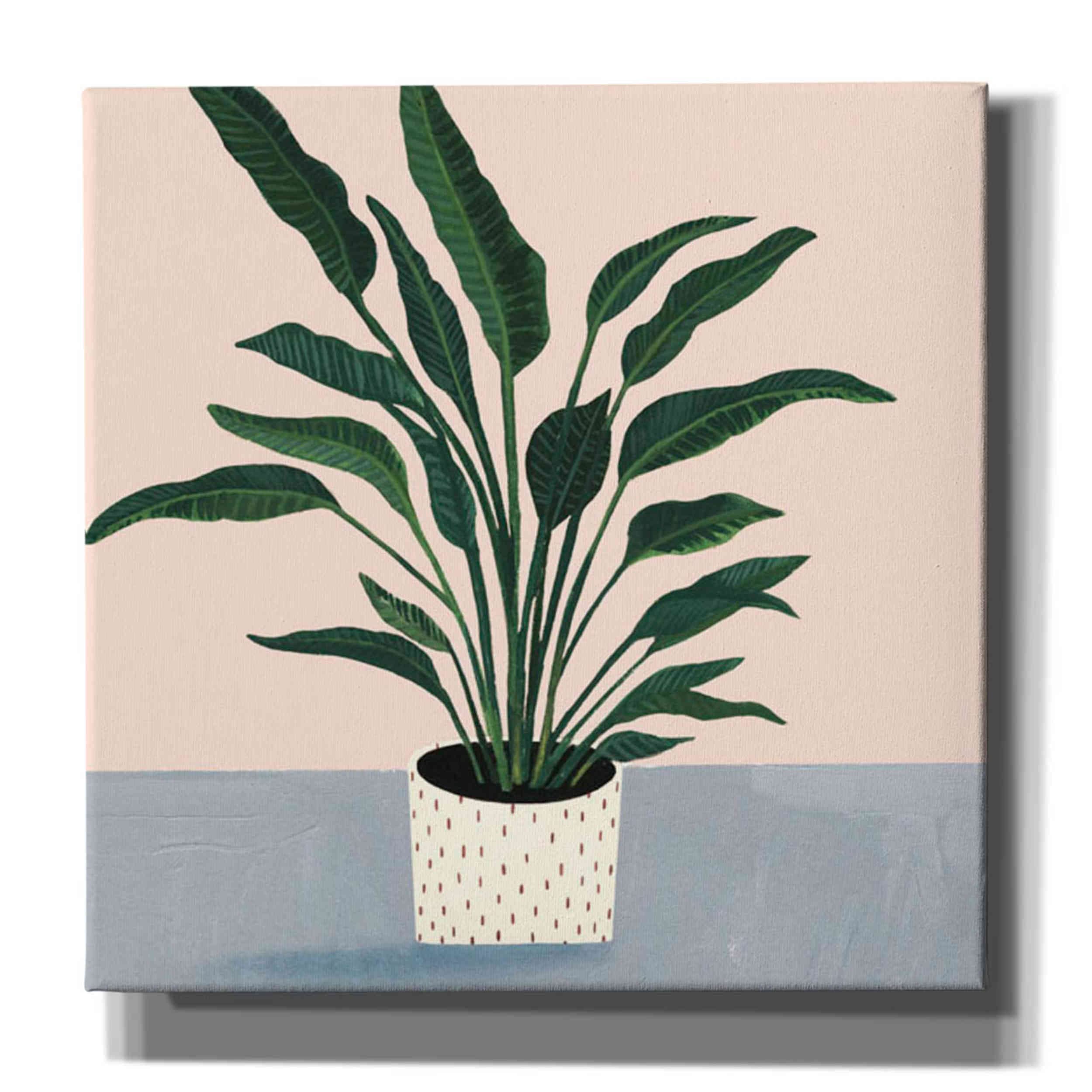Victoria Borges 'Houseplant IV' 37x37 Inch Canvas Wall Art - Modern Botanical Home Decor for Living Room, Bedroom & Office