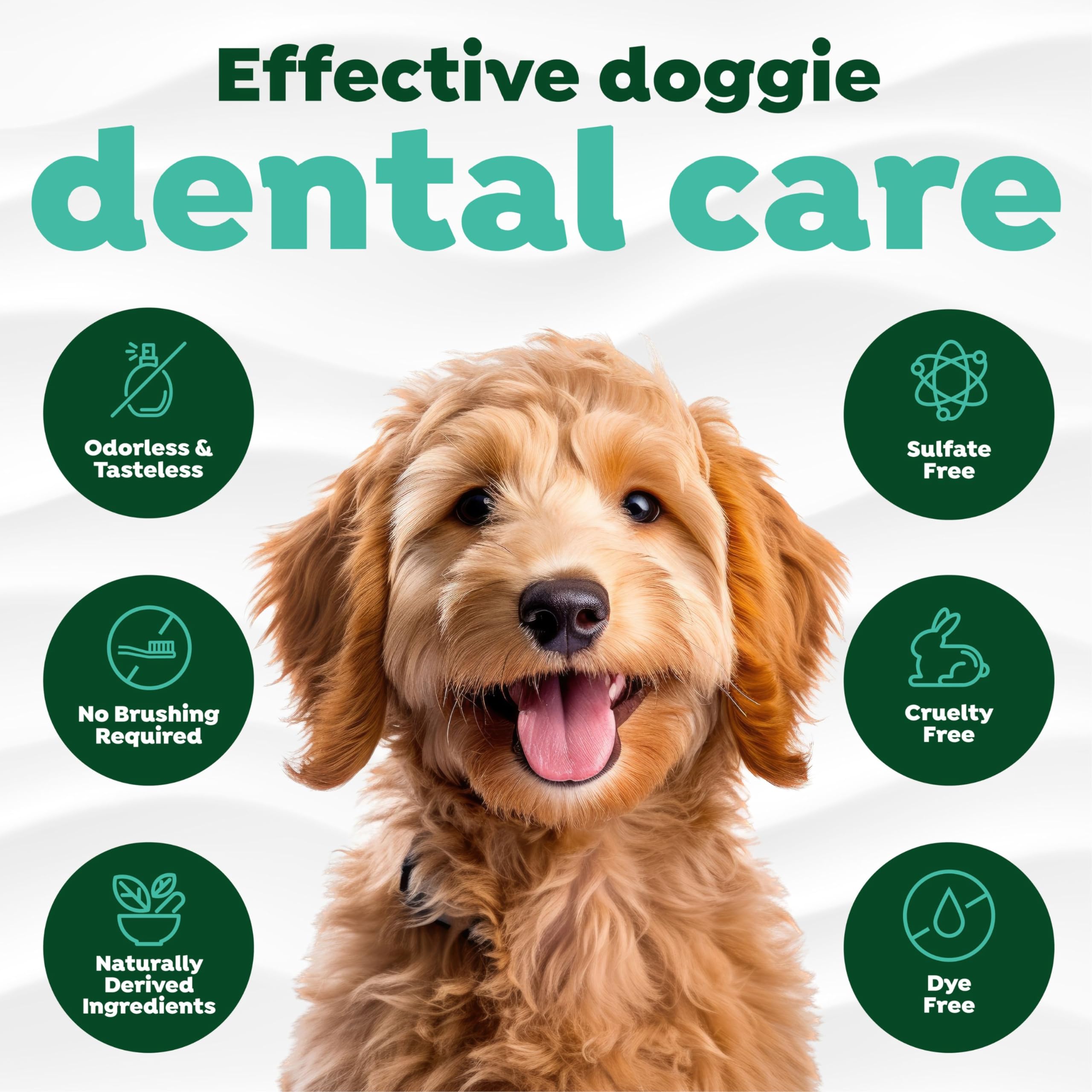 TropiClean Fresh Breath Advanced Whitening Water Additive for Dogs - Dog Dental Care Solution with 3D Microguard Technology | 33.8oz Pet Water Additive for Fresher Breath & Whiter Teeth | Perfect for Daily Oral Hygiene & Plaque Prevention