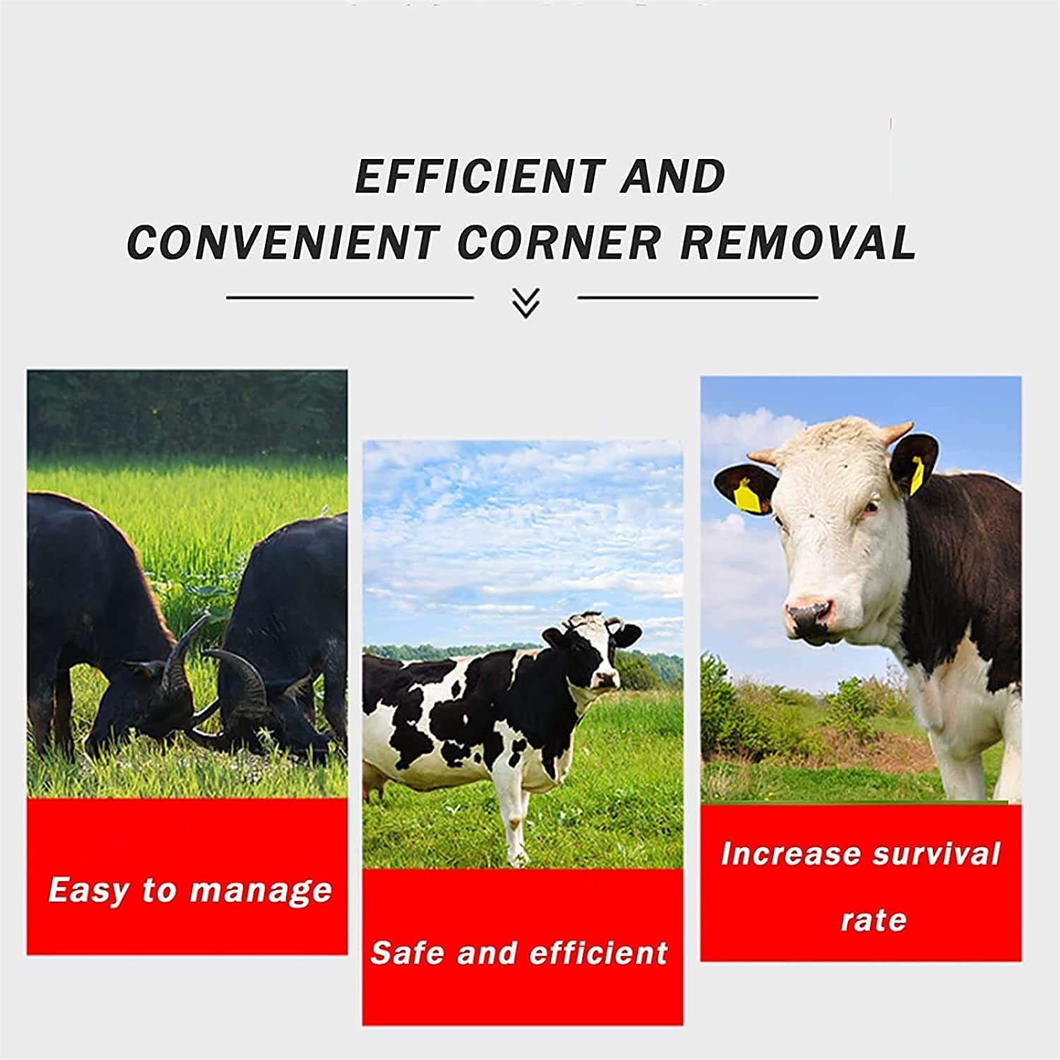 Electric Horn Cutter Machine - Painless Dehorner for Cattle & Sheep | Fast & Safe Livestock Farming Equipment | Perfect for Dairy Farms, Ranches & Veterinary Clinics
