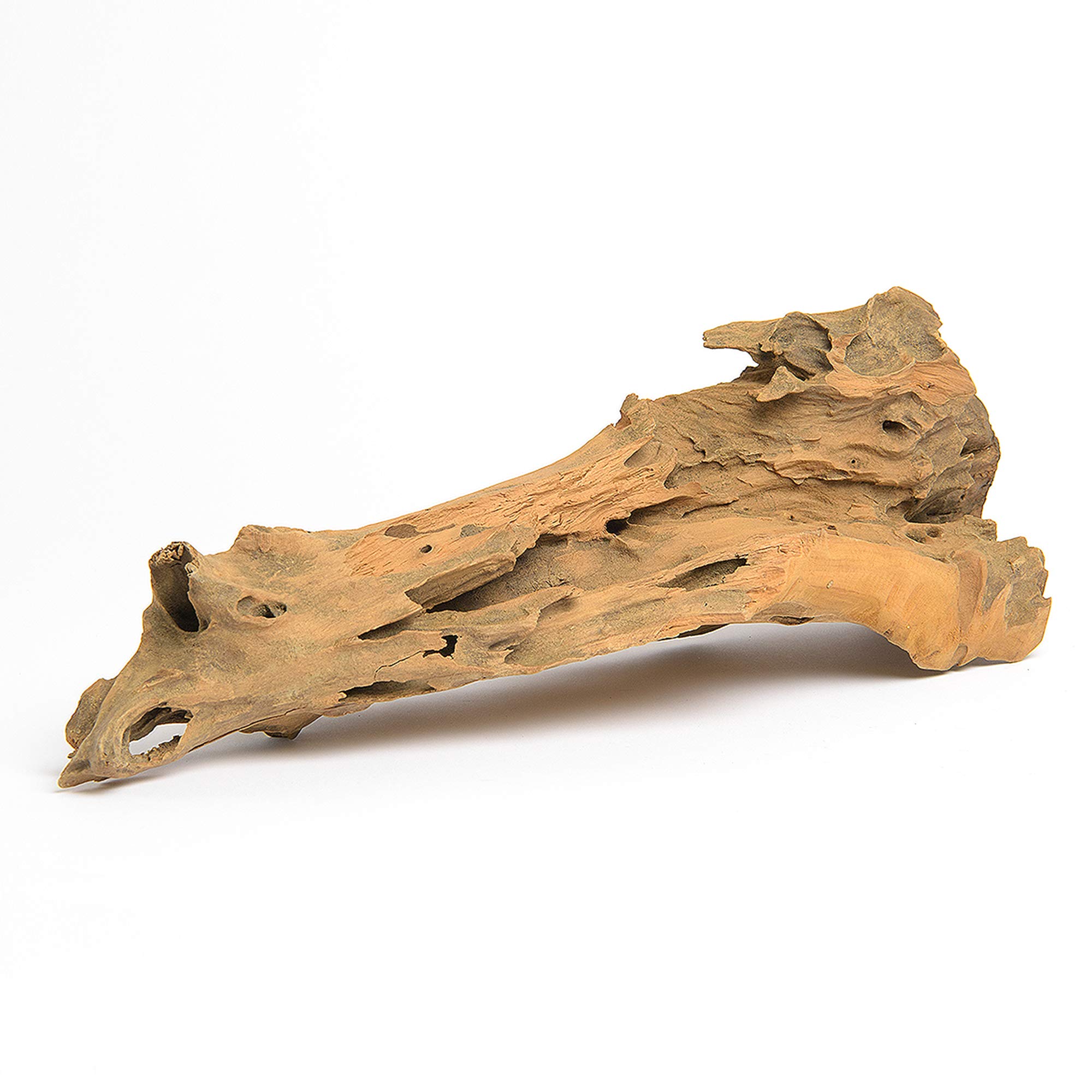 Premium Teak Root Sculpture for Home Decor - Natural Bleached Finish | Perfect for Living Room, Office & Zen Spaces
