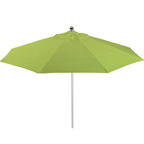 Sunbrella- Macaw