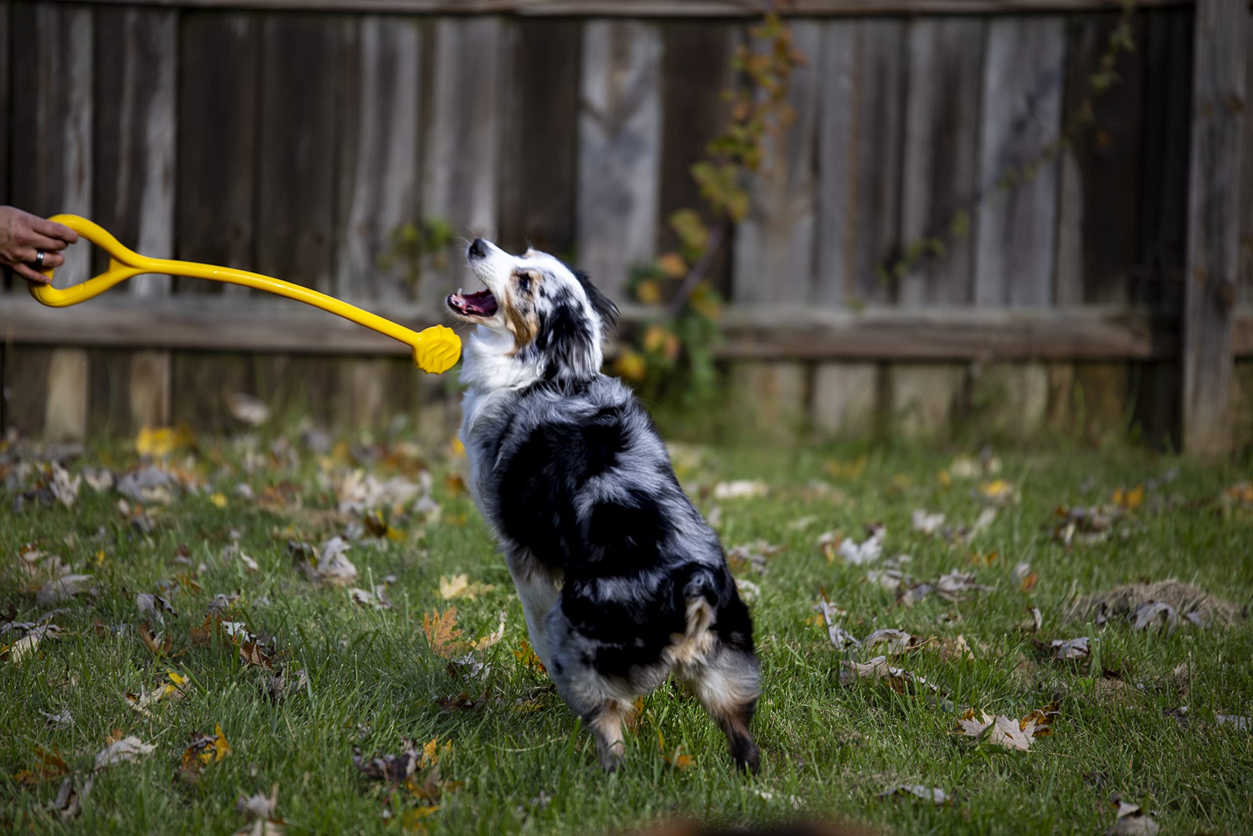 Jersey Dog Co Ultimate Durable Dog Tug Toy - 23