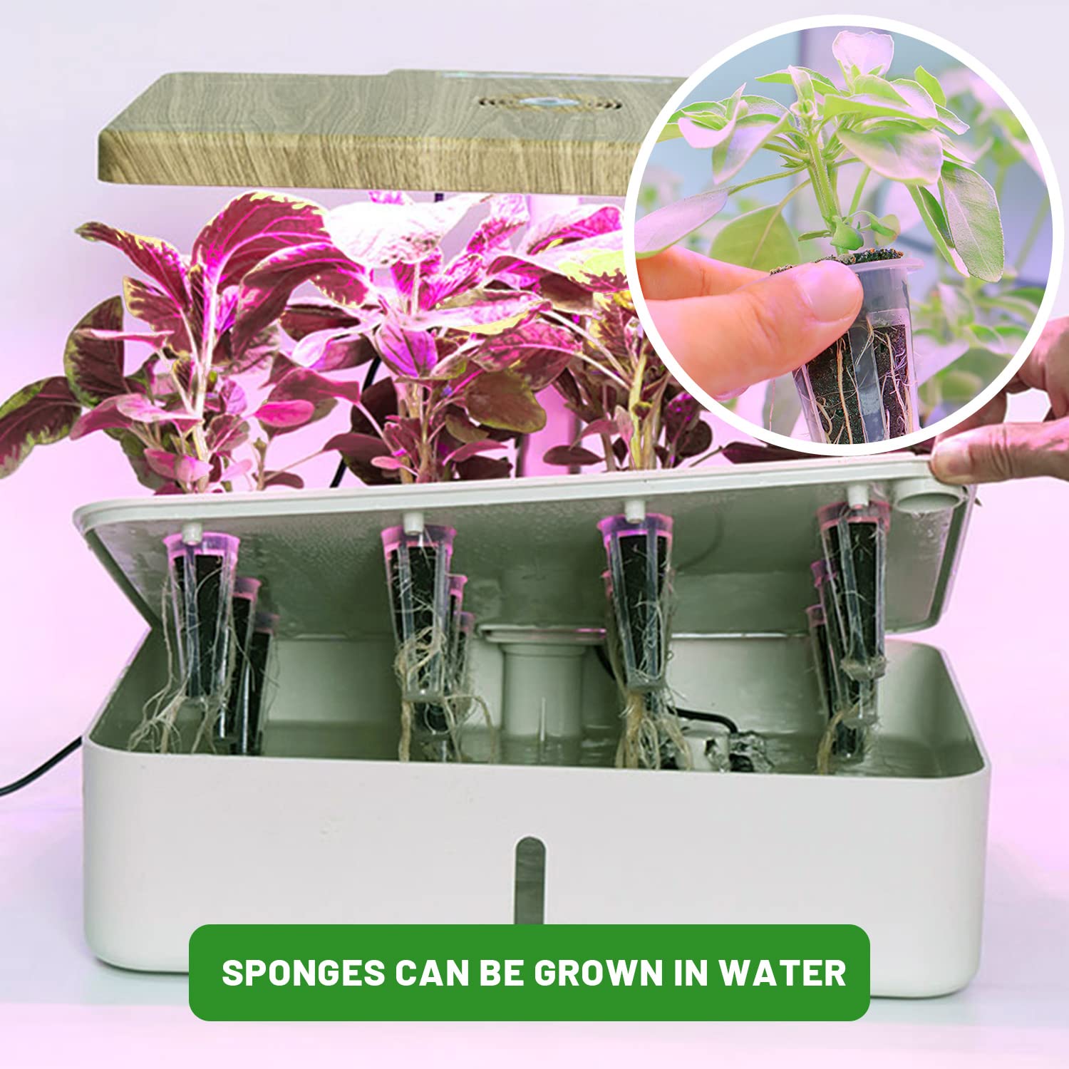 70 Pack Grow Sponges for Hydroponics - Seed Pods Replacement Sponges, Bulk Seed Growth Kit for Indoor Garden System (Brown) | Perfect for Aerogarden, Click & Grow, and DIY Hydroponic Systems