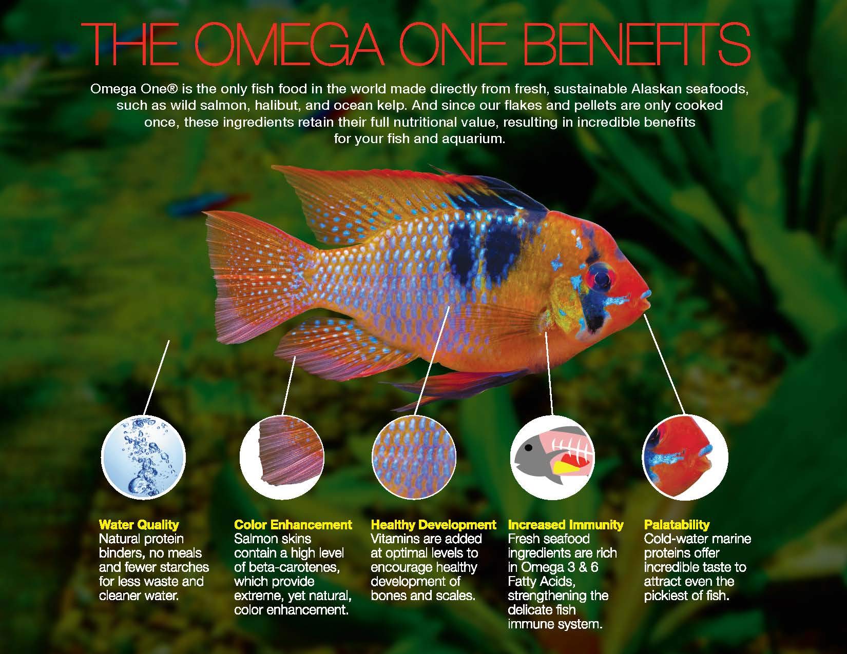 Omega One Garlic Marine Flakes 5 lb - Premium Fish Food for Saltwater & Freshwater Aquariums - Enhances Fish Health & Immunity - Ideal for Marine Fish, Tropical Fish & Reef Tanks