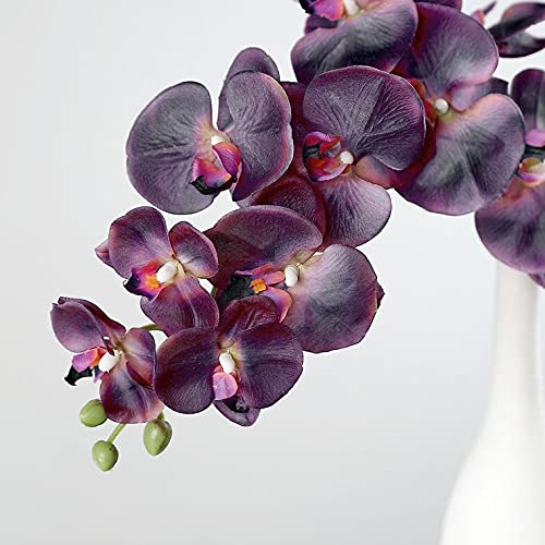 40 Inch Artificial Phalaenopsis Silk Orchid Flowers - Real Touch Fake Orchid Branches for Home, Office, Wedding Decor - Pack of 2 (Eggplant Purple) - Perfect for Centerpieces, Table Decorations & Wall Arrangements