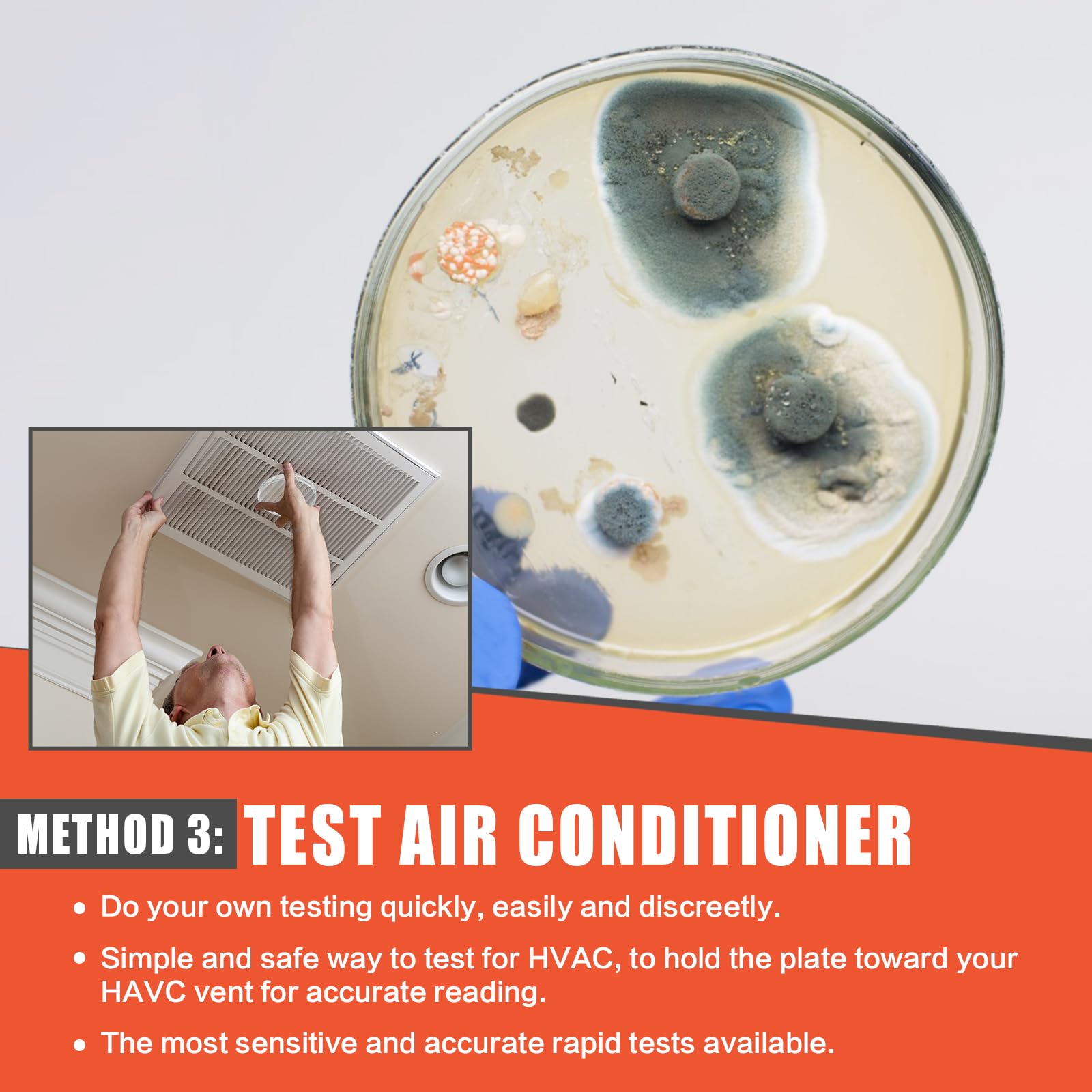**10-Room Home Mold Testing Kit - DIY Air & Surface Mold Detector for HVAC & Indoor Air Quality | Includes Identification & Removal Guide | Ideal for Basements, Bathrooms & Allergy Relief**