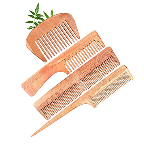 BODE - Kacchi Neem Wooden Comb for Hair Growth & Dandruff Control | Ayurvedic Herbal Treatment with Neem Oil & Bhringraj | Anti-Frizz & Hair Straightening Comb for Men & Women | Perfect for Daily Hair Care & Scalp Massage at Home or Travel