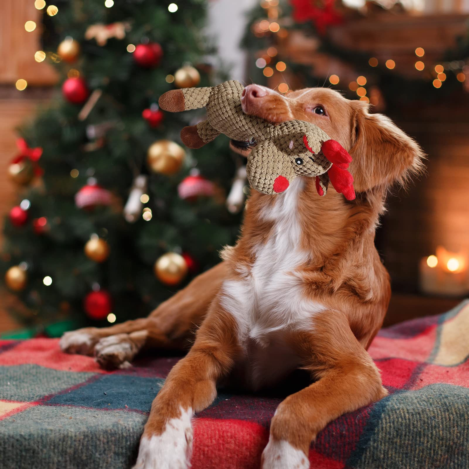 Senneny Christmas Dog Toys - Reindeer Stuffed Squeaky Plush Chew Toys for Large & Medium Dogs | Interactive Durable Puppy Toy for Playtime & Holiday Gifts