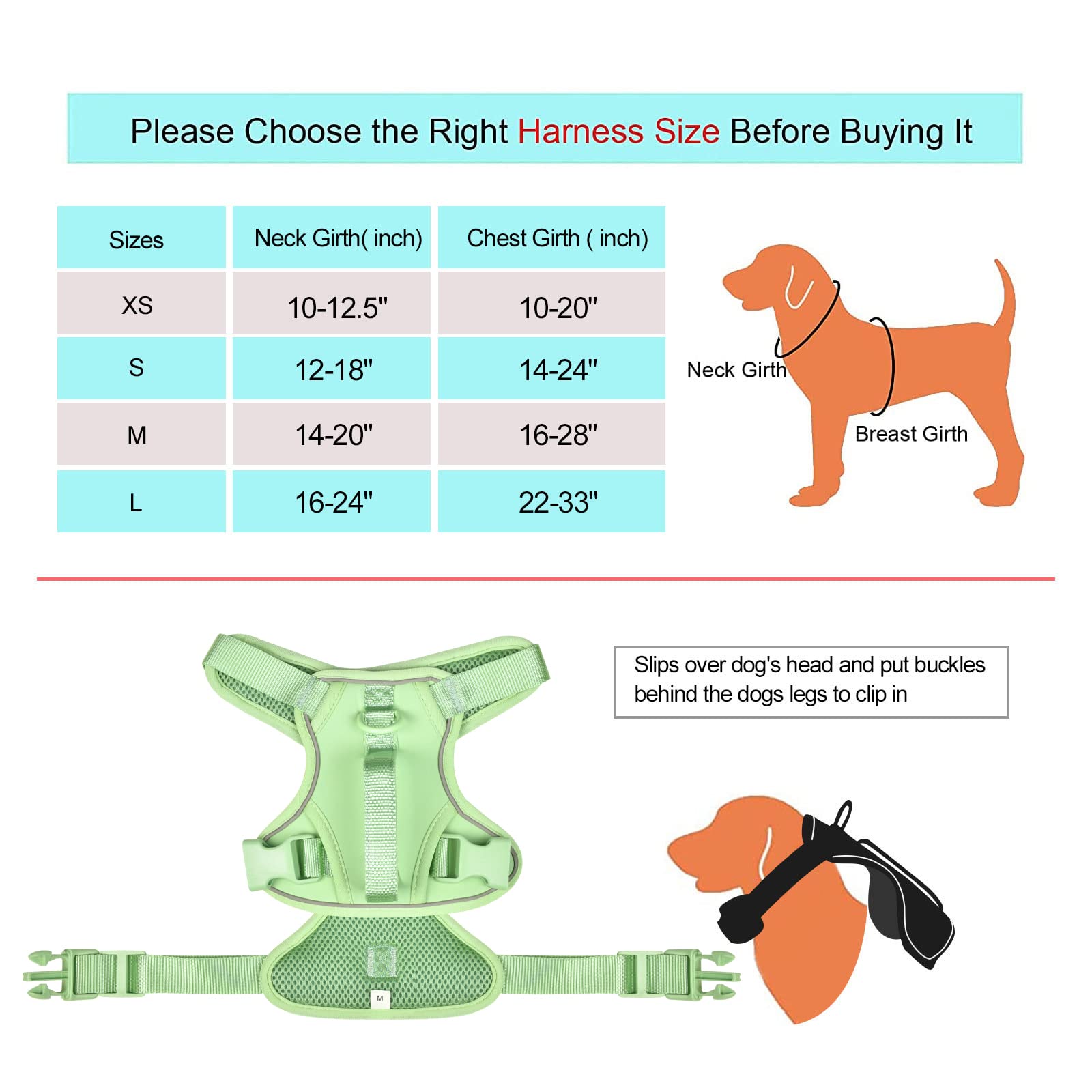 Petmolico Small Dog Harness - Cute Reflective Puppy Vest with 2 Leash Clips & Soft Handle for Easy Walking (Mint Green, Small) | Perfect for Daily Walks, Training & Outdoor Adventures