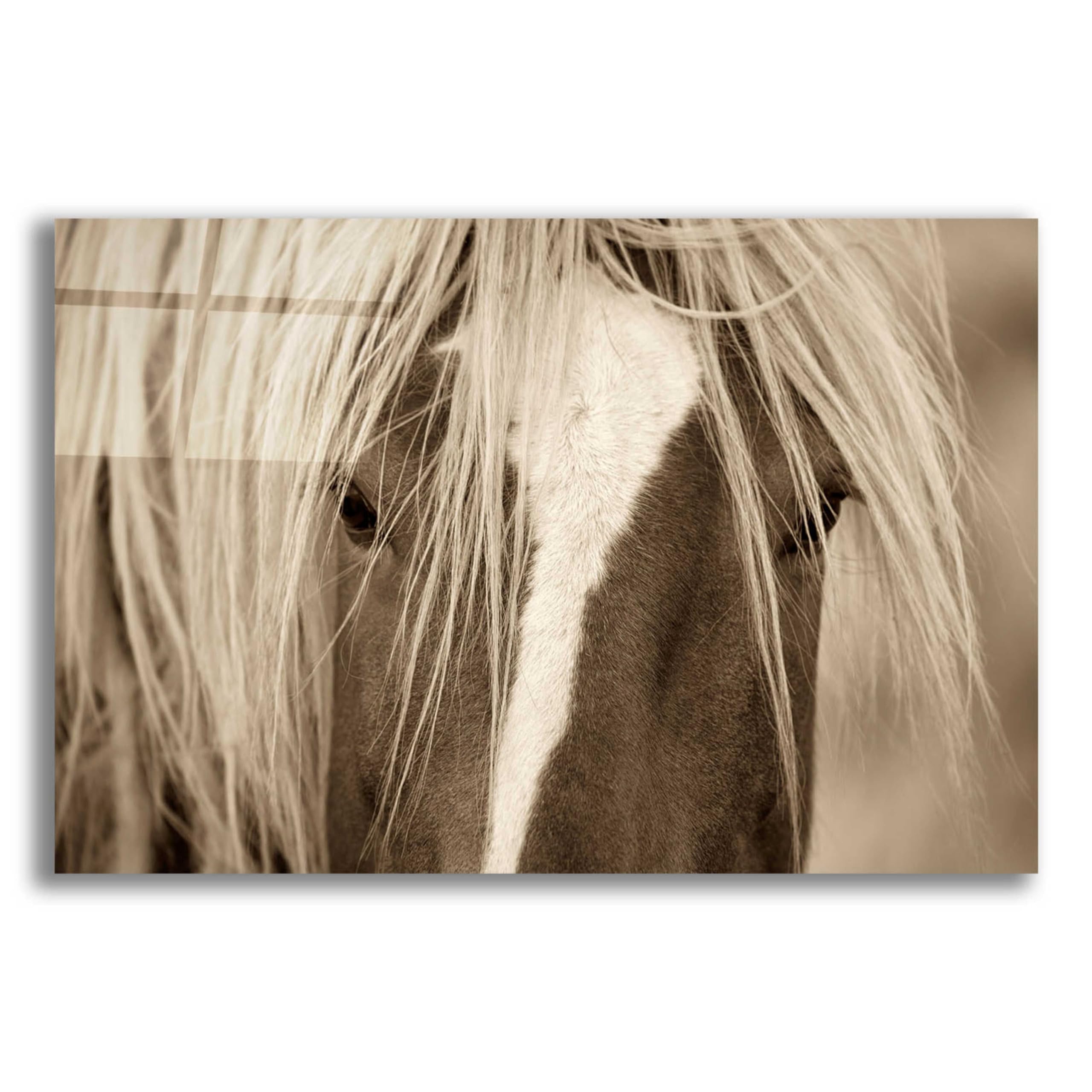 Epic Art 'The Blonde' by Lisa Dearing - Premium Acrylic Glass Wall Art Painting 24x16 Inches - Modern Home Decor for Living Room, Bedroom & Office