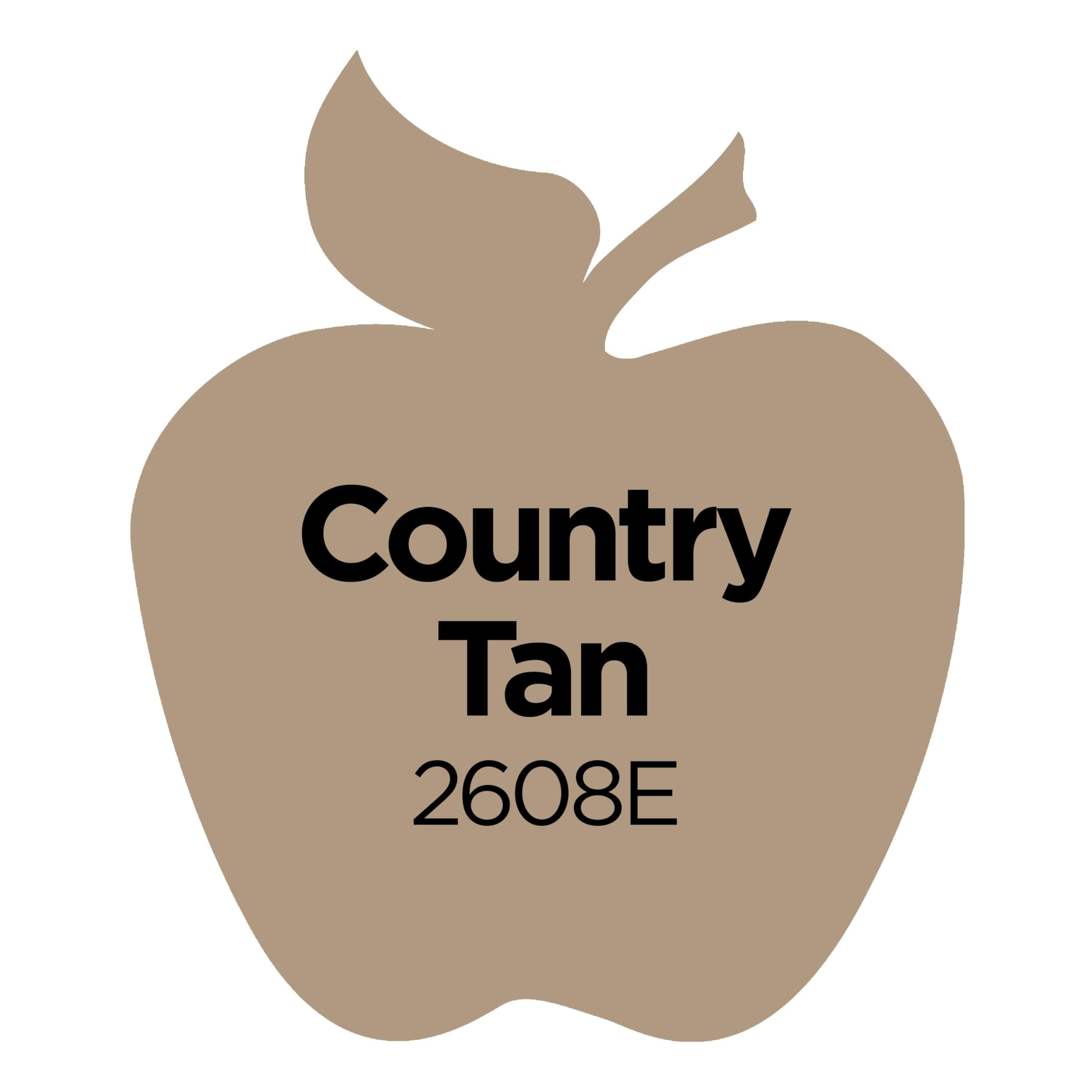 Apple Barrel Acrylic Paint 8 oz - Country Tan (K2608) - Non-Toxic Matte Finish for Canvas, Wood & Crafts - Perfect for DIY Art Projects & Home Decor