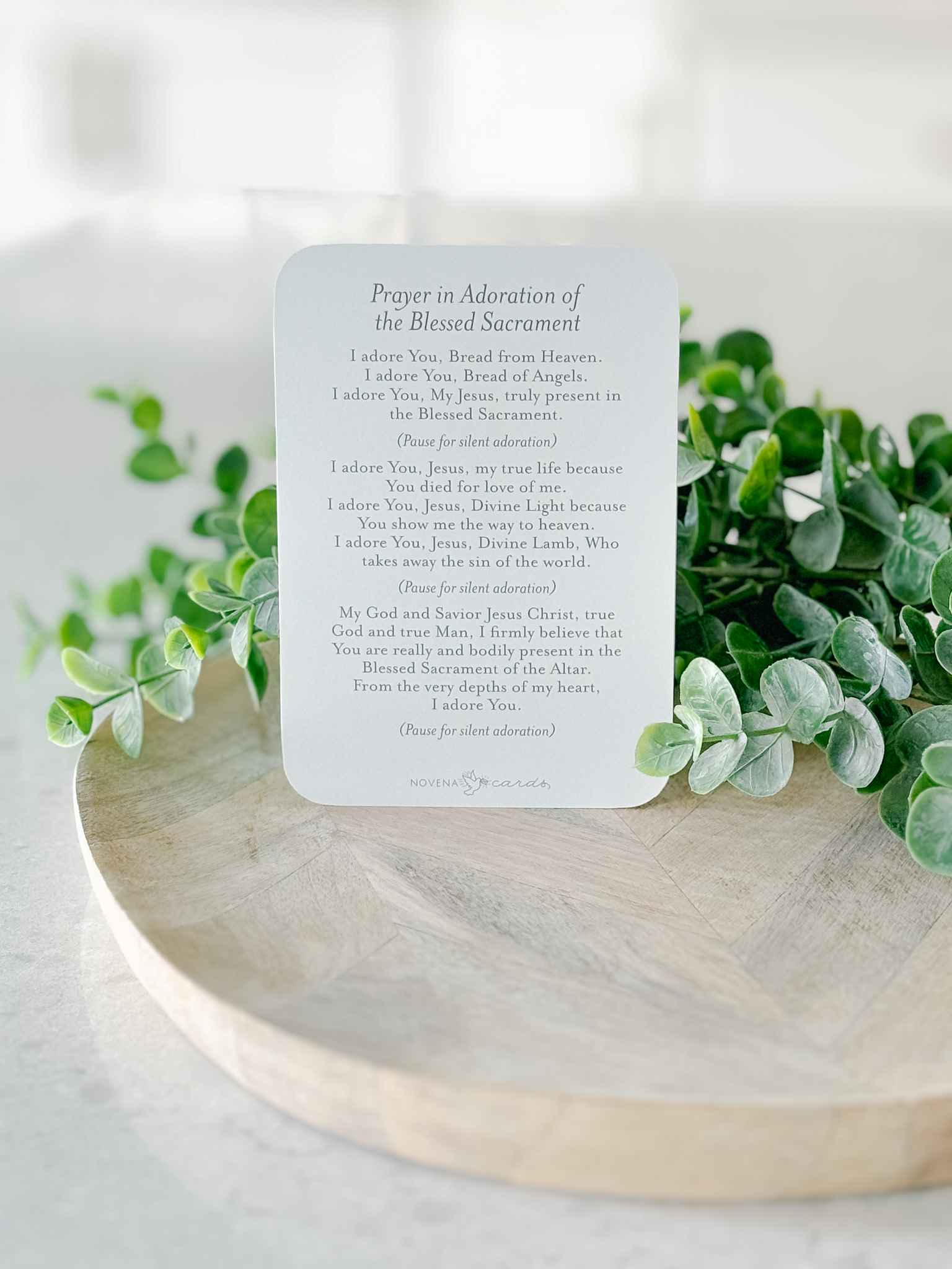 Prayer in Adoration of the Blessed Sacrament Prayer Card - Catholic Devotional for Eucharistic Worship & Spiritual Reflection