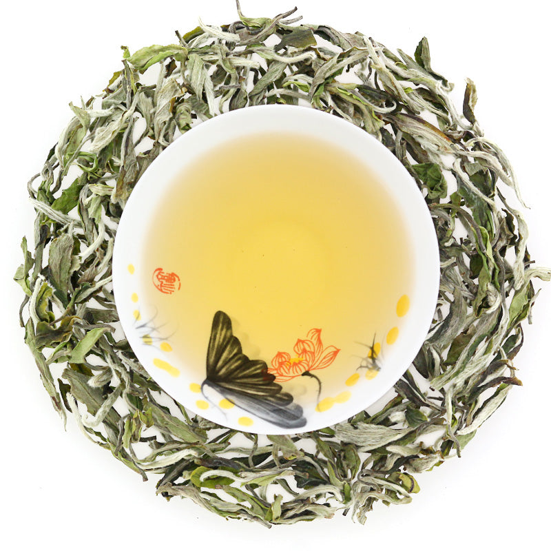 Premium Organic White Peony Tea (Bai Mu Dan) - Loose Leaf White Tea - Antioxidant Rich, Delicate Floral Notes - Perfect for Relaxation, Afternoon Tea & Gifting