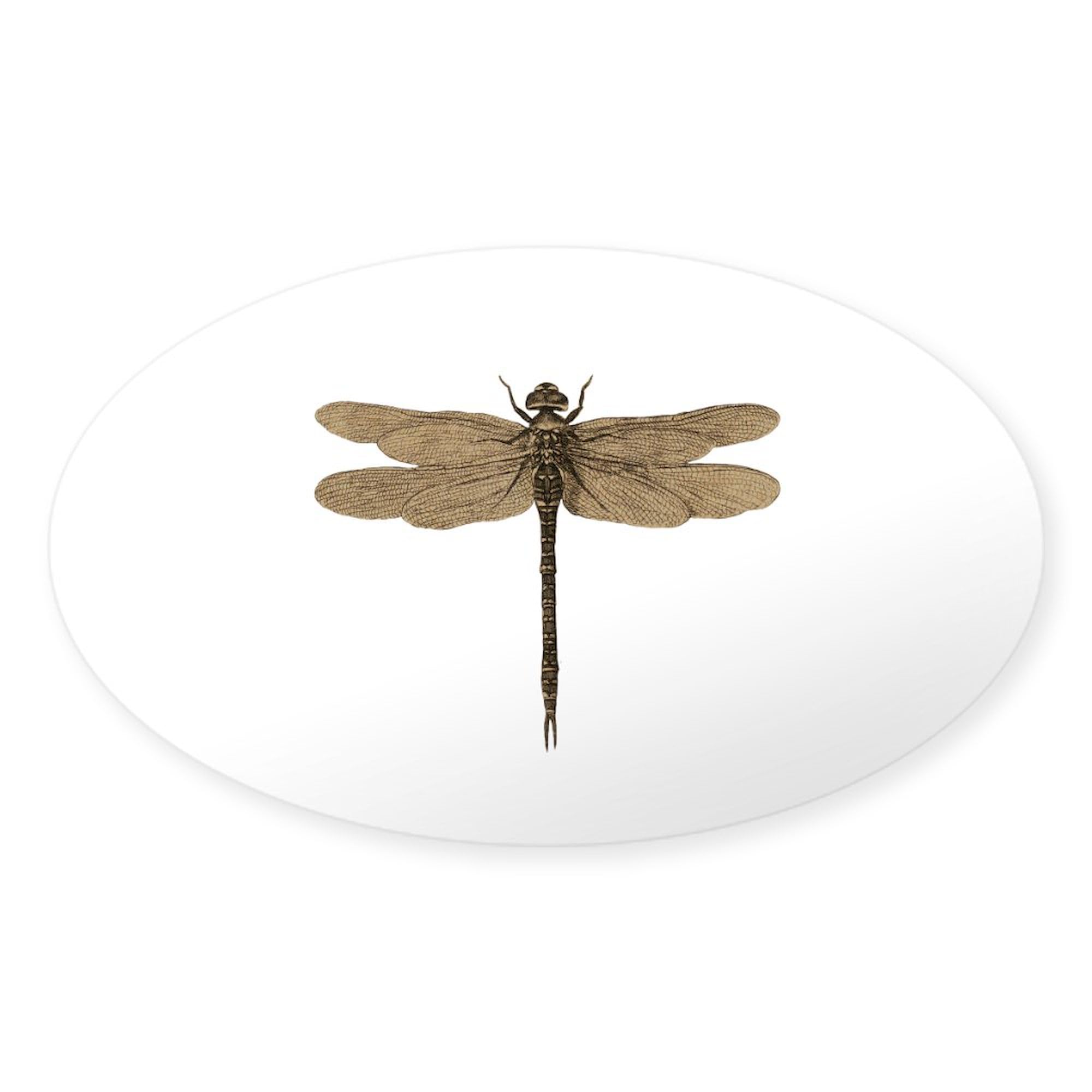 Vintage Dragonfly Oval Car Bumper Sticker - Decorate Your Vehicle