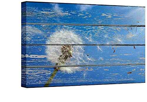Blue Dandelion