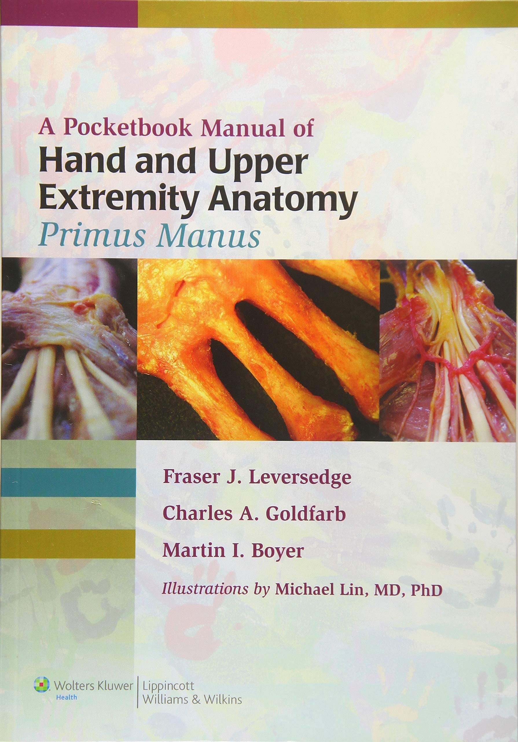 Hand and Upper Extremity Anatomy Pocketbook Manual - Primus Manus | Essential Guide for Medical Students & Surgeons | Perfect for Clinical Study & Surgical Reference