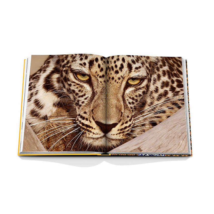 Assouline Arabian Leopard Coffee Table Book - Luxury Wildlife Photography & Conservation Stories - Perfect for Home Decor, Coffee Table Display, and Gift Giving