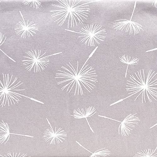 Grey Dandelion