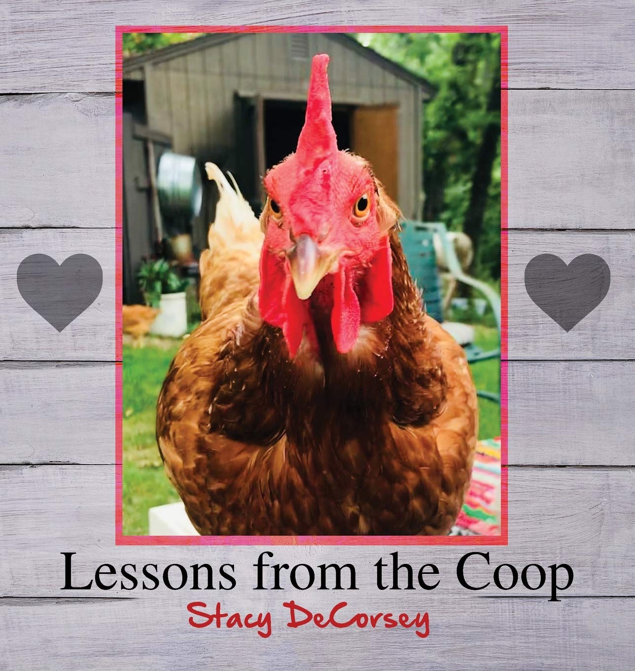 Lessons from the Coop - Essential Chicken Keeping Guide for Beginners | Perfect for Backyard Farmers & Homesteaders