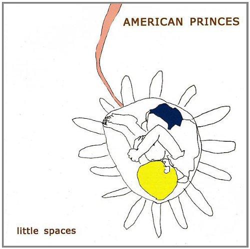 American Princes - Little Spaces Yep Roc Records Vinyl LP | Indie Rock Music Album for Collectors & Music Lovers | Perfect for Home Listening & Record Collections