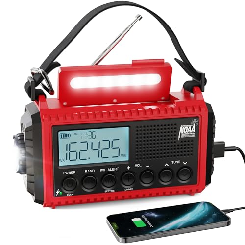 Red-LCD Display