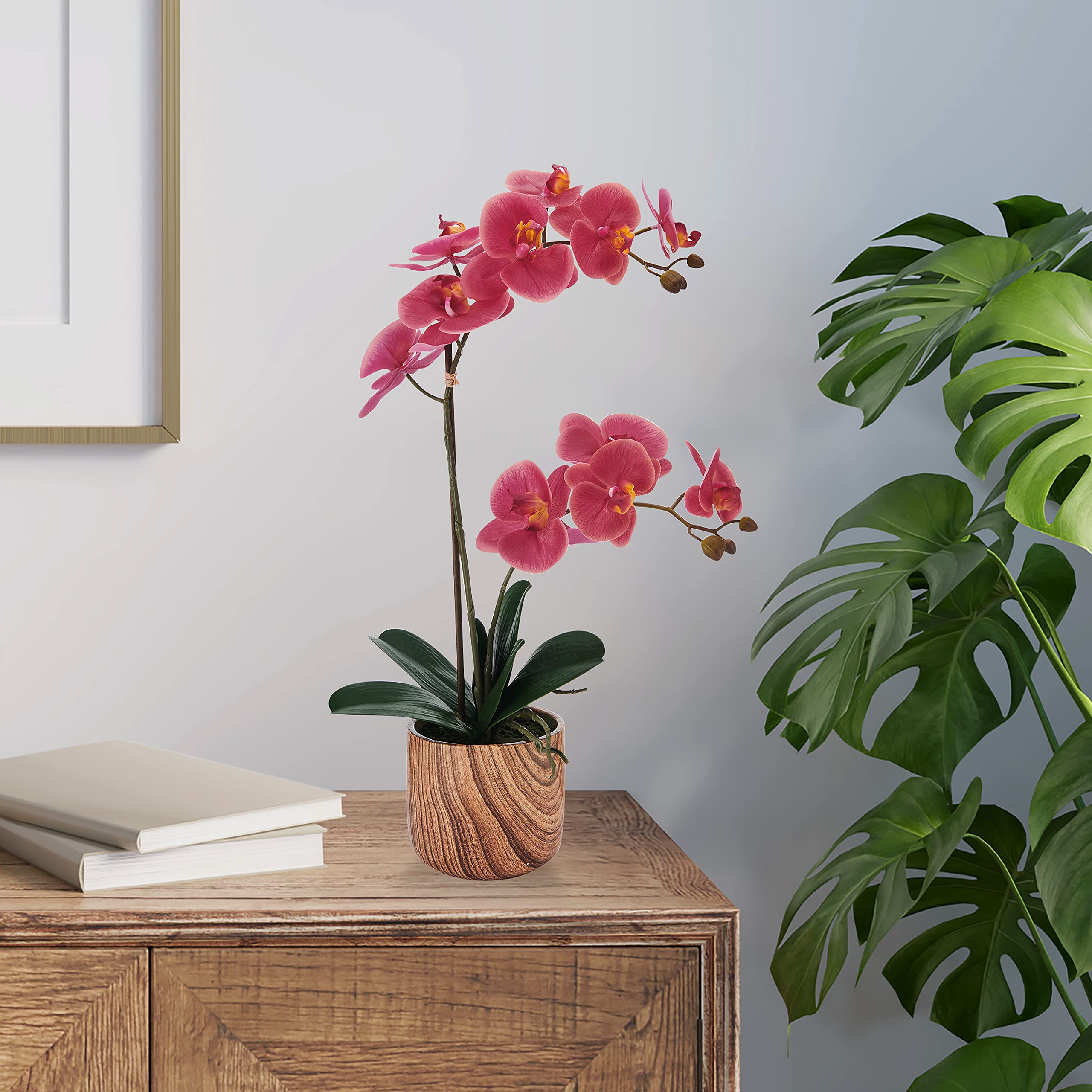 Mikasa Artificial Orchid in Pot - Real Touch Phalaenopsis Silk Flower with Faux Wood Cement Planter, 22-Inch Double Stem Rosewood Home Decor for Living Room, Office, Wedding Centerpiece