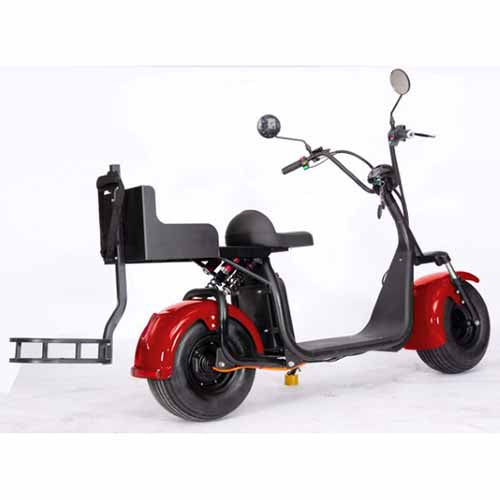 2000W 60V Electric Fat Tire Trike - 3 Wheel Scooter Moped Bike with Golf Rack, Similar to CityCoco Bike CT 3G - Perfect for Commuting, Golf Course Transport & Urban Adventure