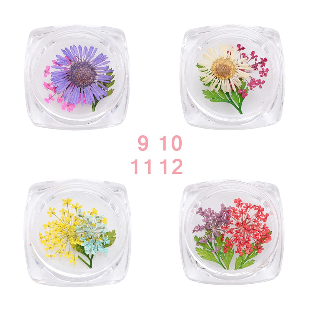 3D Dried Flower Nail Art Decorations for Manicure & DIY Beauty