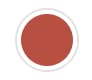 06 BRICK – WARM REDDISH BROWN