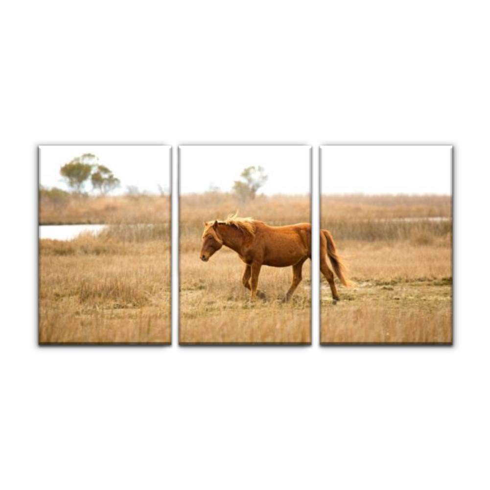 Wild Horse on Assateague Island Maryland - Modern Canvas Wall Art, Printed Oil Painting Landscape Decor for Home, Office, Bedroom - Framed Set of 3 (16x24 inches) - Perfect for Coastal, Farmhouse & Nature-Inspired Interior Design