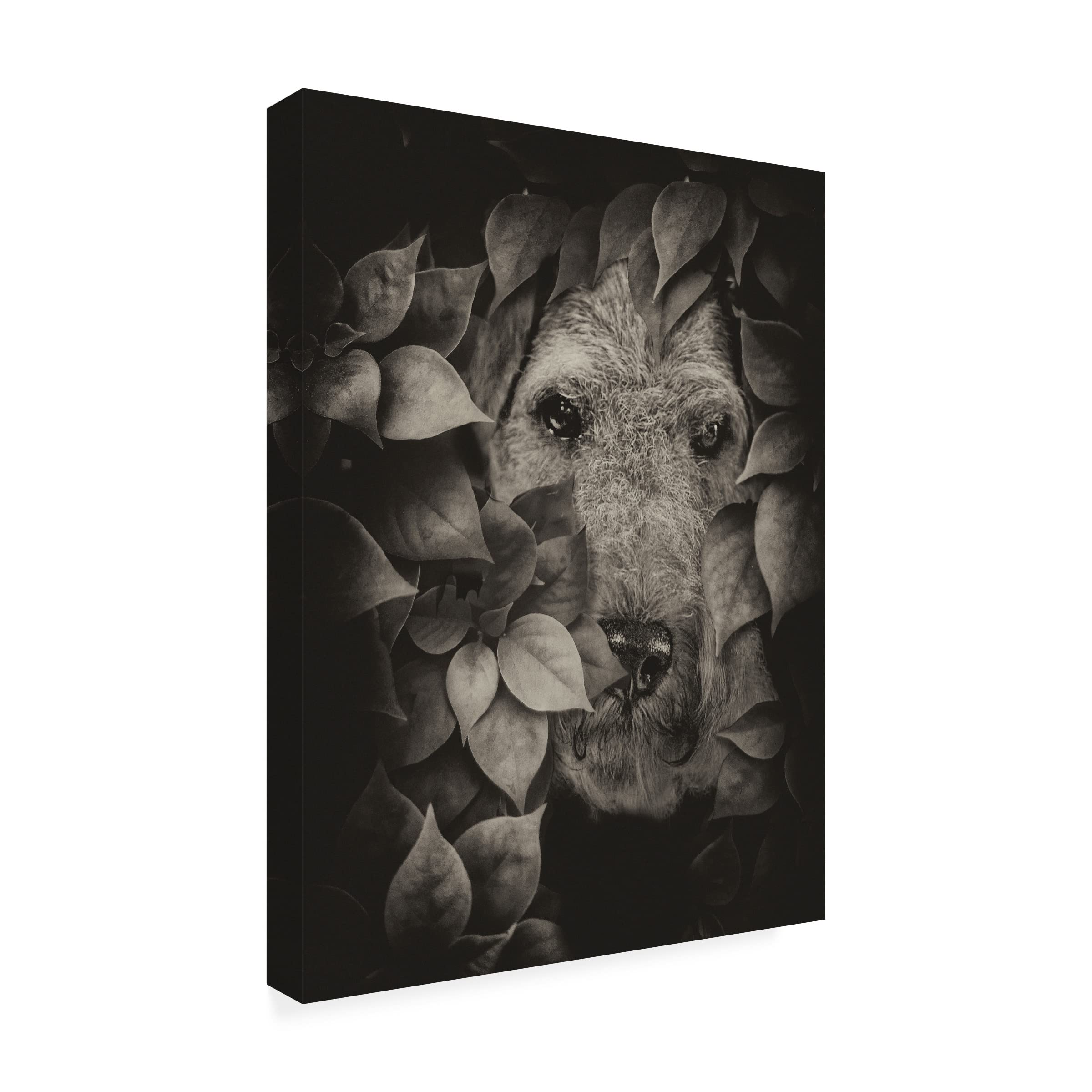 Trademark Fine Art 'Airedale' Dog Portrait Canvas Wall Art by Lori Hutchison - Perfect for Living Room, Bedroom & Office Decor