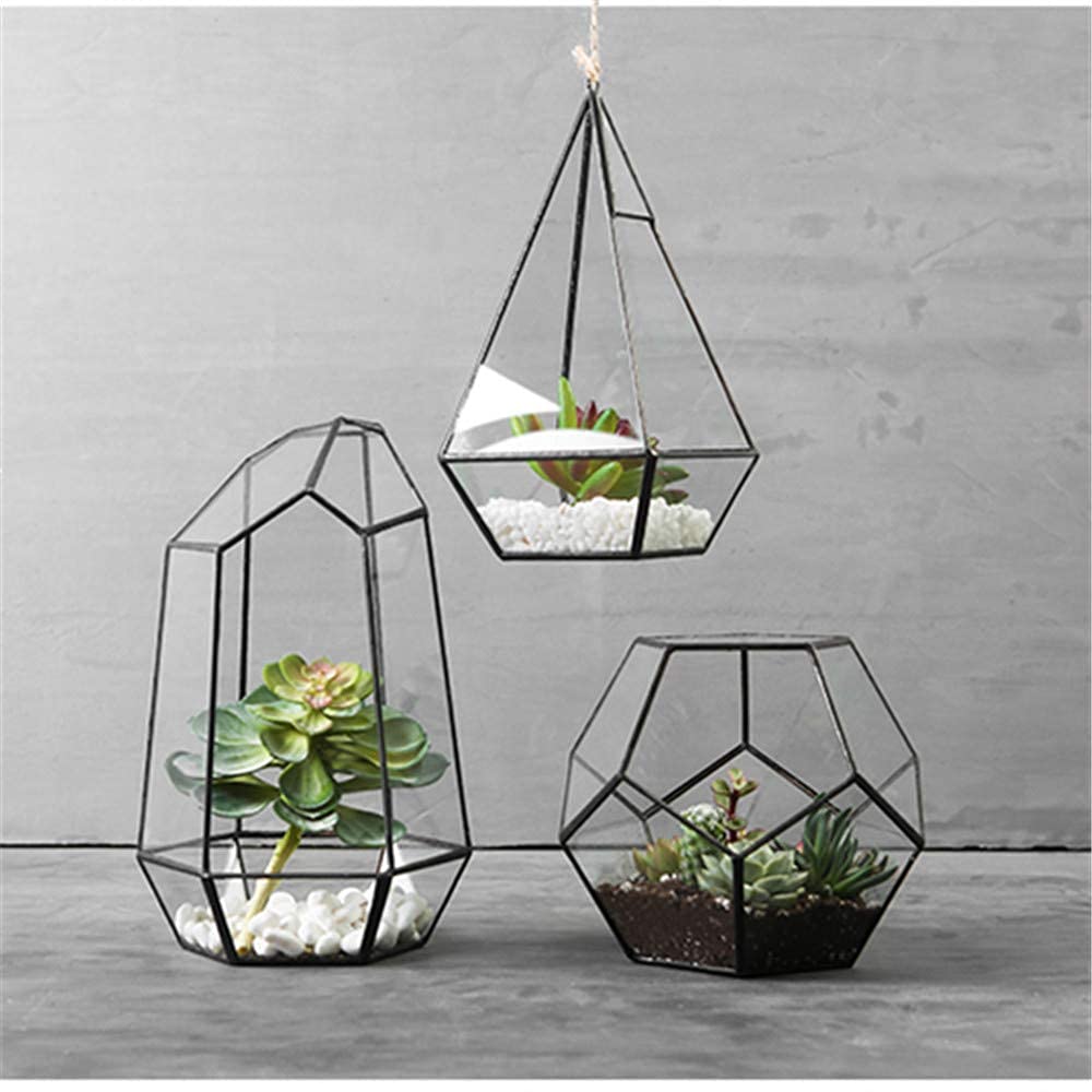 Geometric Glass Terrarium Planter for Cacti & Succulents - Irregular Tabletop Container (6.5x5.7x9.8 Inches) - Modern Home, Office & Garden Decor - Perfect for Indoor Plants, Desk Decor & Gift Ideas
