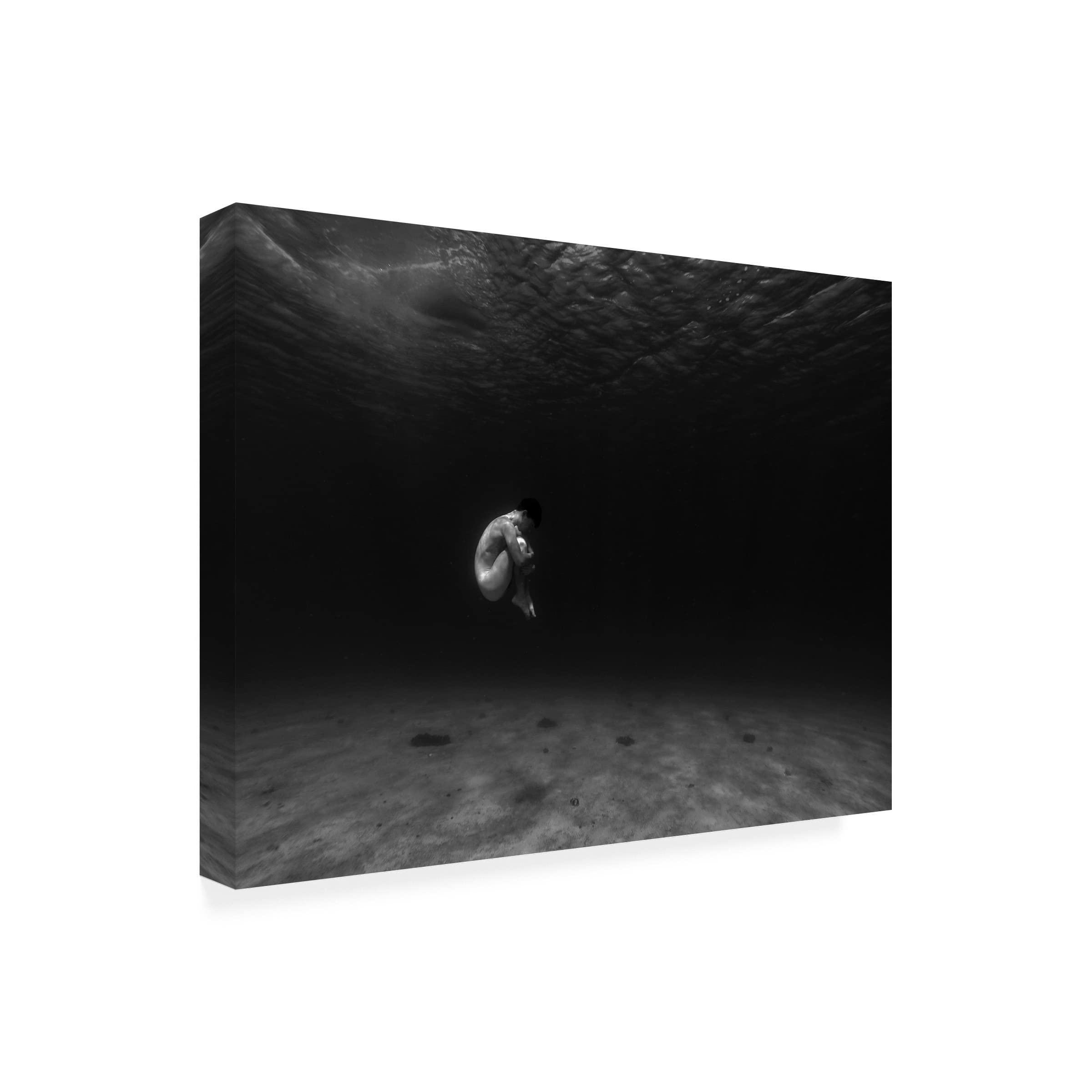 Sebastian Alexander Stamatis 'Embryo' Canvas Wall Art Print - Modern Abstract Painting for Living Room, Bedroom & Office Decor
