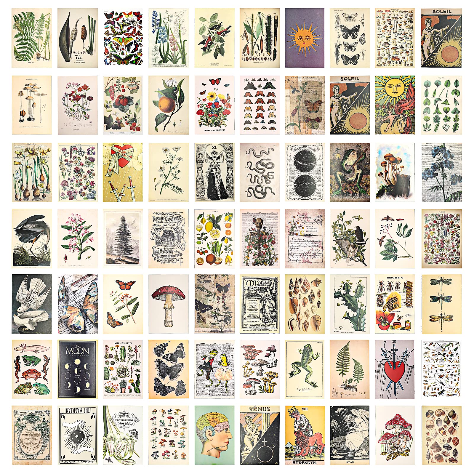 Vintage Wall Collage Kit - 70 Pcs Aesthetic Pictures for Room Decor, Cottagecore Bedroom & Dorm Wall Art, Perfect Gift for Teens - Create Dreamy Aesthetic Spaces in Bedrooms, Dorms & Photo Walls