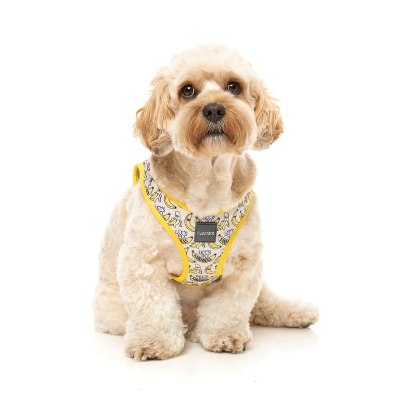 Fuzzyard Go Bananas Dog Step-in Harness - Adjustable Pet Vest with Reflective Strips (6 Sizes) for Small, Medium & Large Dogs - Perfect for Walking, Training & Outdoor Adventures