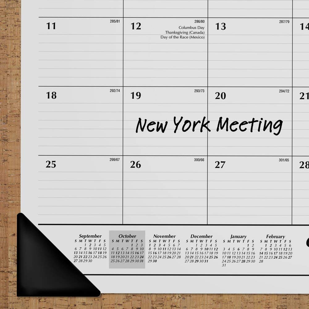 AT-A-GLANCE 2020-2021 Academic Monthly Desk Calendar - 21.75