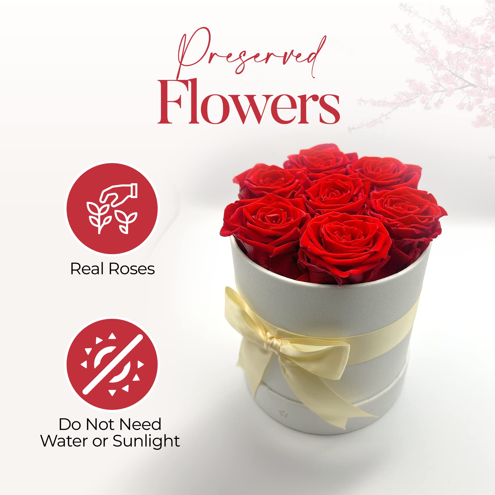 Premium AROMEO 7 Red Roses Bouquet - Fresh Cut Flowers for Valentine's Day, Anniversary, Birthday & Christmas Gifts | Same Day or Next Day Delivery | Perfect for Her, Wife, Girlfriend, Mom & Special Occasions | Elegant Home Decor & Romantic Gift Idea
