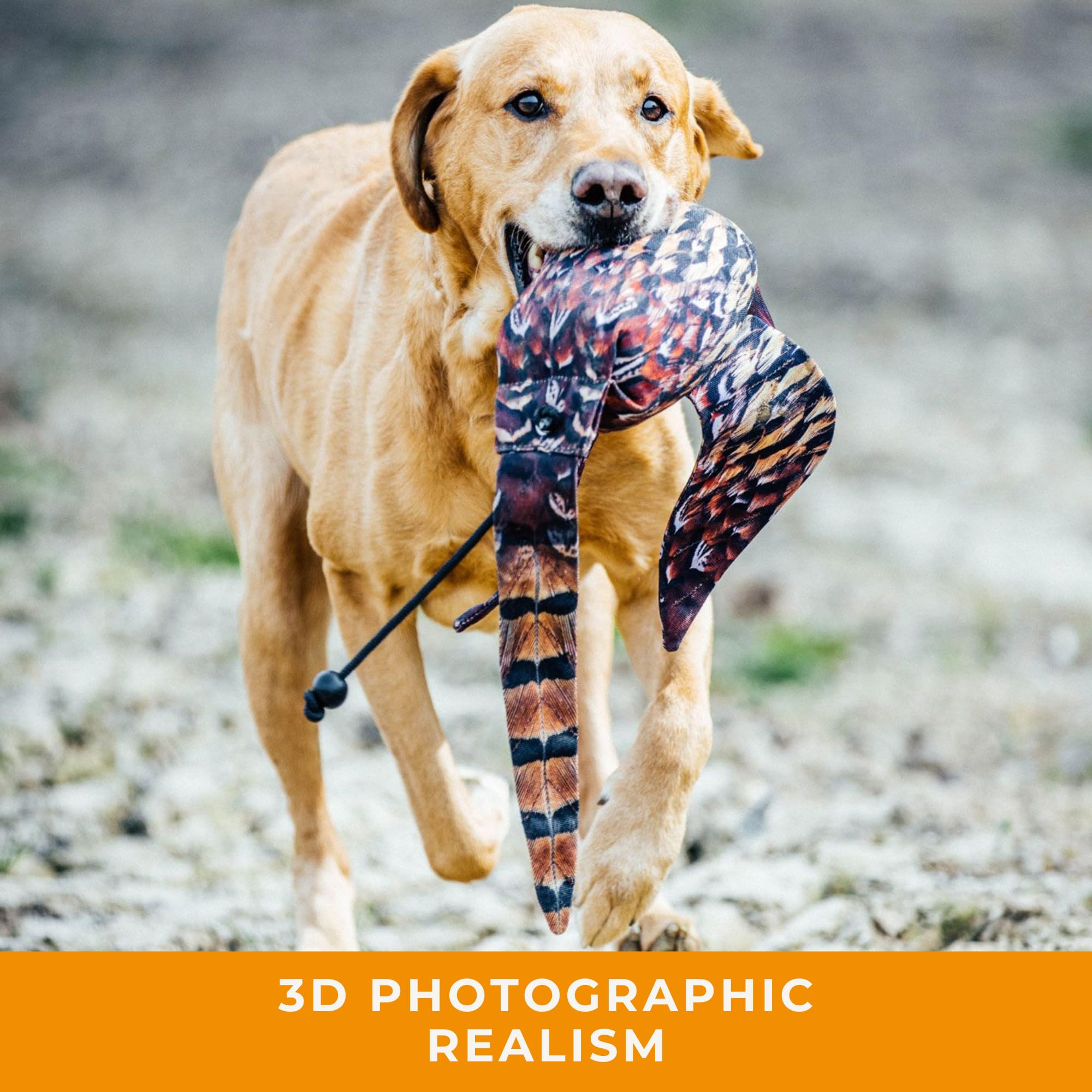 Realistic Game Bird Dog Training Dummy - HD Feather Print Canvas Hunting Dummy for Gundog & Puppy Training - Waterfowl Retrieval Practice - Perfect for Field Training, Backyard Drills & Hunting Dog Equipment