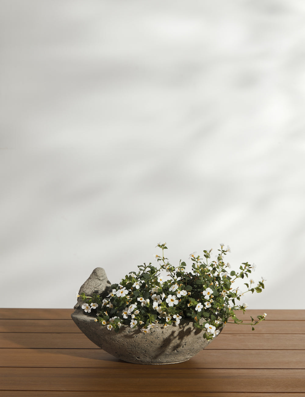 Cast Stone Tabletop Planters by Campania International - Elegant Indoor/Outdoor Decorative Plant Pots for Home, Garden & Patio