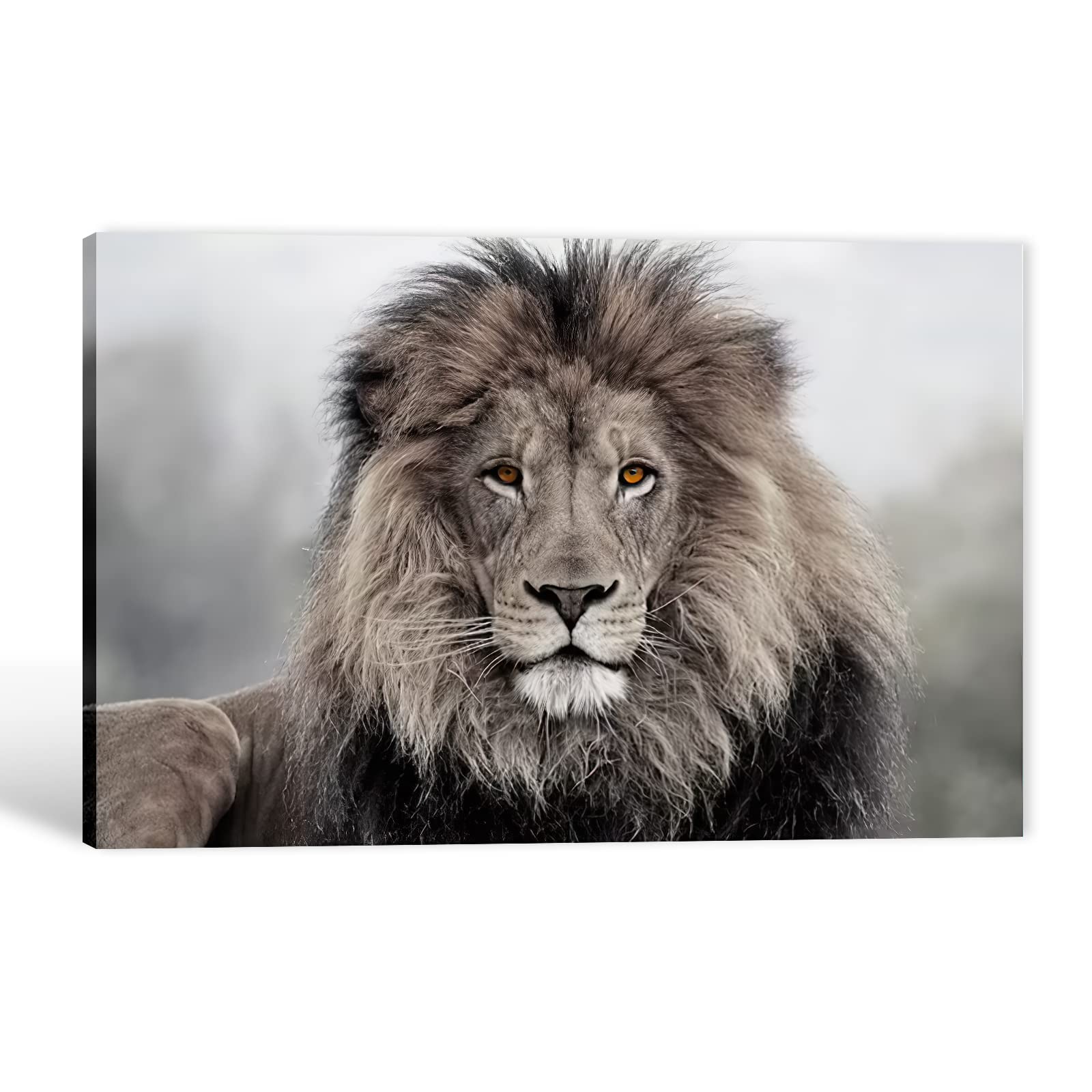 TIMUBA Lion Canvas Wall Art - 12x18 Inches Lion Head Portrait Painting for Living Room & Men Cave Decor - Premium Lion Poster Wall Art for Home, Office & Gifts