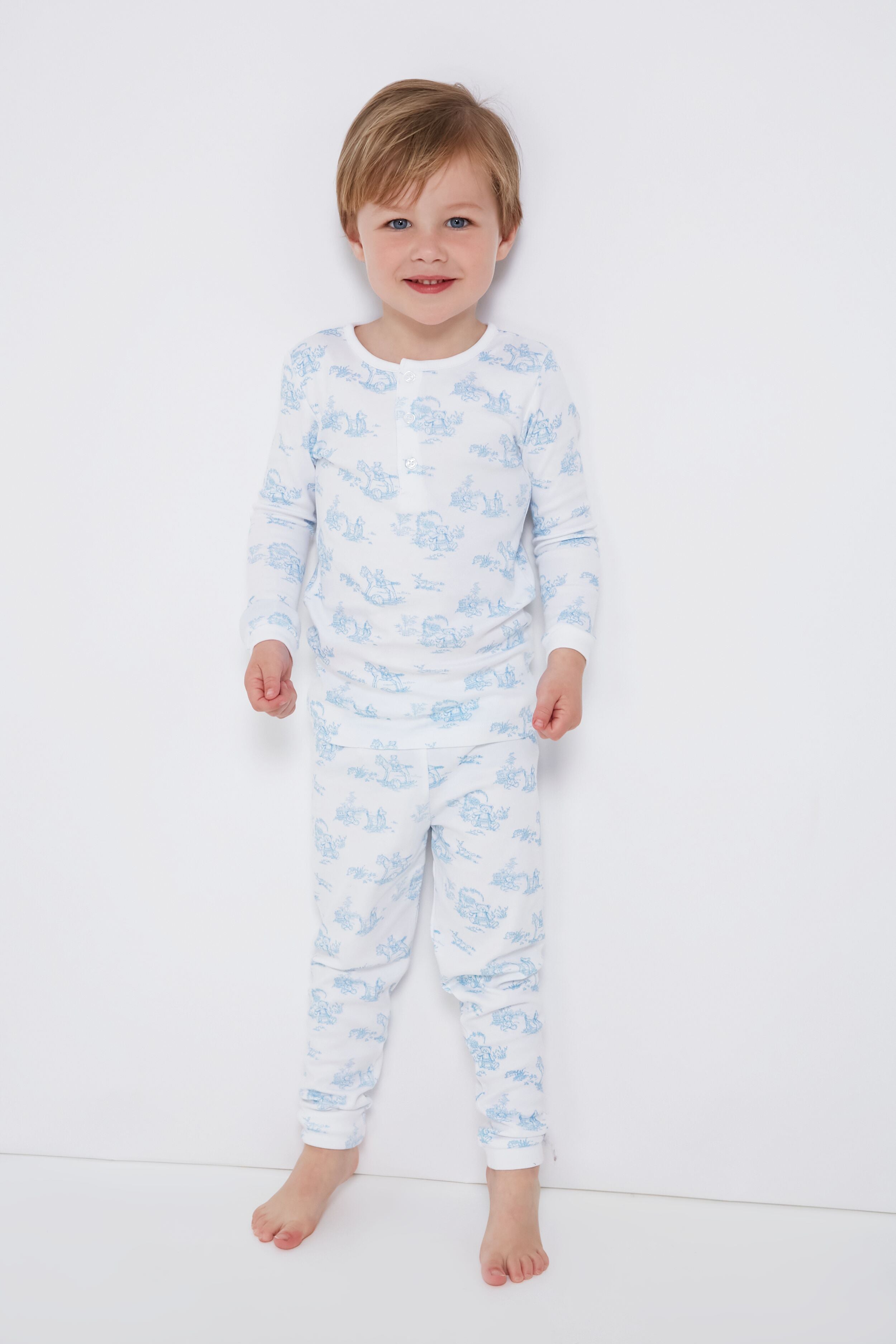 Blue Toile